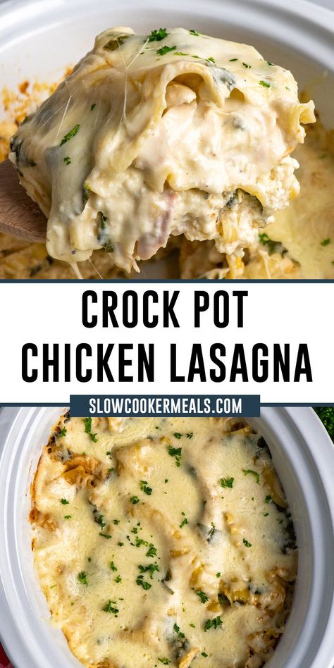 Easy Fall Crock Pot Recipes, All In One Crock Pot Meal, Crockpot Chicken Alfredo Lasagna, Crock Pot Meal Ideas For Dinner, Crockpot Chicken Lasagna Recipes, Chicken Spinach Lasagna Crockpot, Cheap Slow Cooker Recipes Healthy, Crock Pot Chicken Lasagna, Crock Pot Lasagna Recipe Slow Cooker