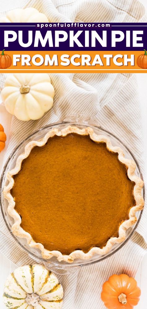 Learn how to make The Best Pumpkin Pie from Scratch! This easy pumpkin recipe is a classic pie with a traditional spiced whipped pumpkin filling in a homemade crust. It makes a great Thanksgiving sweet treat! How To Use A Pie Pumpkin, Pumpkin Pie From Pumpkin Puree, Pumpkin Pie Filling From Real Pumpkin, How To Make Pumpkin Puree For Pie, How To Bake Pie Pumpkins, Roasting Pumpkins For Pie, Pumpkin Pie Recipe Real Pumpkin, Pumpkin Pie Shell Recipe, Large Pumpkin Pie Recipe