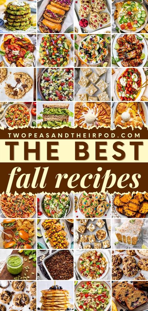 Celebrate the Fall season with these amazing recipes for the whole family! From Fall baking recipes to Fall dinner recipes and Fall comfort food ideas, these are sure to impress your guests. Check out these Fall food ideas! Fall Lunch Ideas, Fall Food Ideas, Best Fall Recipes, Comfort Food Ideas, Easy Fall Dinner Recipes, October Food, Easy Fall Dinners, Fall Favorites Recipes, Fall Crockpot Recipes