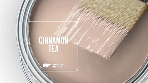 Cinnamon Tea S200-2 | Behr Paint Colors Behr Marquee, Behr Colors, Behr Paint Colors, Behr Paint, Paint Sheen, Pink Paint, Painted Floors, Paint Colors For Home, Coordinating Colors