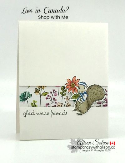 Fable friends stamp set www.stampcrazywithalison.ca-4 Stampin Up Fable Friends, Friends Birthday Cards, Fable Friends, Friend Cards, The Fable, Card Flowers, Hand Stamped Cards, Spring Cards, Friends Birthday