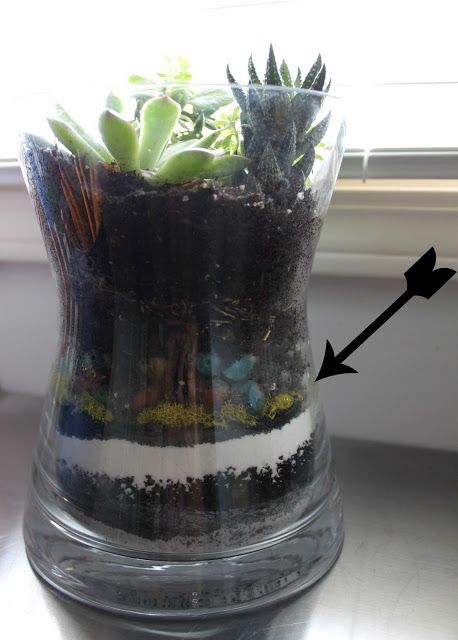 tip for planting in pots with no drainage holes- use activated carbon from pet store Planting In Glass Containers, Planting In Pots, Succulents In Glass, Succulent Planting, Succulent Containers, Plant Succulents, Planting Tips, Rachel Hollis, Succulent Gardening