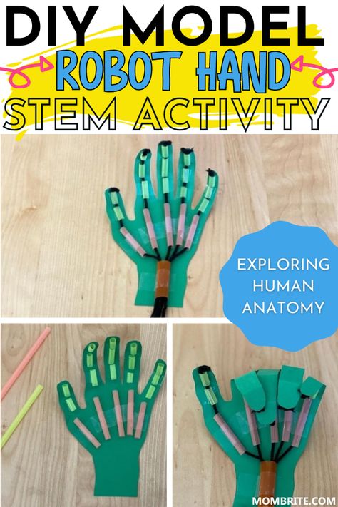 Stem Hand Project, Stem Activity For Preschool, Hands On School Activities, School Aged Activities, 4th Grade Stem Projects, Robot Hand Stem Activity, Engineering Crafts For Preschool, Engineering For Preschoolers, Diy Robotic Hand