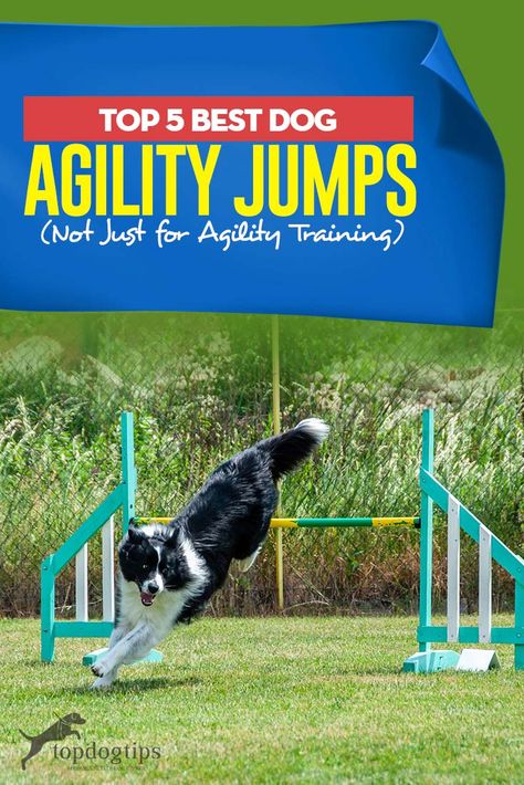 Best Dog Agility Jumps for Official Training (AKC) or Home Exercise Dog Agility Jumps Diy, Diy Dog Agility Equipment, Fun Ways To Exercise, Dog Agility Equipment, Ways To Exercise, Dog Agility Course, Agility Training For Dogs, Dog Whisperer, Home Exercise