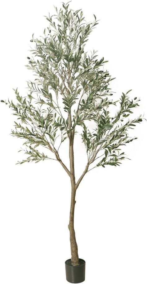 Amazon.com: Phimos Artificial Olive Tree Tall Fake Potted Olive Silk Tree with Planter Large Faux Olive Branches and Fruits Artificial Tree for Modern Home Office Living Room Floor Decor Indoor (5.24FT) : Home & Kitchen Artificial Olive Tree Indoor, Fake Trees In Living Room, Olive Tree Living Room, Faux Trees Indoor, Faux Olive Branches, Living Room Floor Decor, Olive Tree Branch, Artificial Olive Tree, Fake Trees