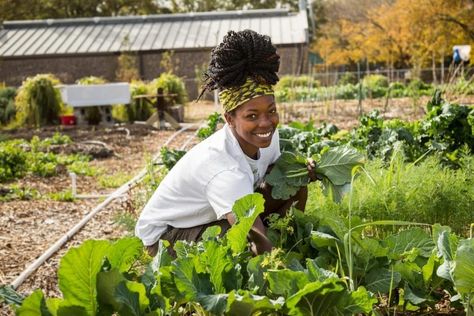 Aromatherapy Garden, Wholesome Aesthetic, Black Farmers, Farm Photoshoot, Flower Factory, Black Planters, Harvest Blessings, Future Farms, Green Farm