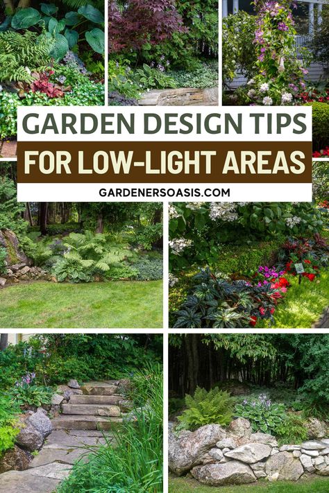 Shade Garden Design Ideas (How To Design A Stunning Shade Garden&#8211;With Pictures) | Gardening Shade Fence Landscaping, Landscaping For Shaded Areas, Shaded Garden Ideas, Front Yard Garden Beds, Small Front Yard Garden, Shade Garden Ideas, Garden Witch, Shade Landscaping, Shade Garden Design