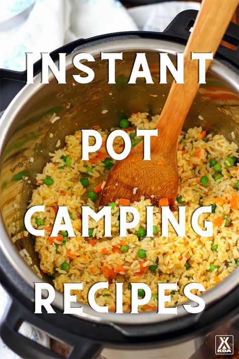 Rv Meals, Camping Food Make Ahead, Electric Pressure Cooker Recipes, Griddle Recipes, Vacation Meals, Campfire Food, Pulled Pork Sandwich, Backpacking Food, Instant Recipes