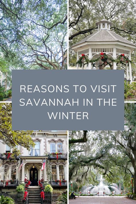 Reasons to Visit Savannah in the Winter Savannah In December, Winter In Savannah Ga, Savannah Georgia Christmas Time, Savannah Georgia In January, Savannah Georgia In December, Savannah Georgia Christmas, Savannah Outfits Winter, Savannah Georgia Vacation, Georgia Trip