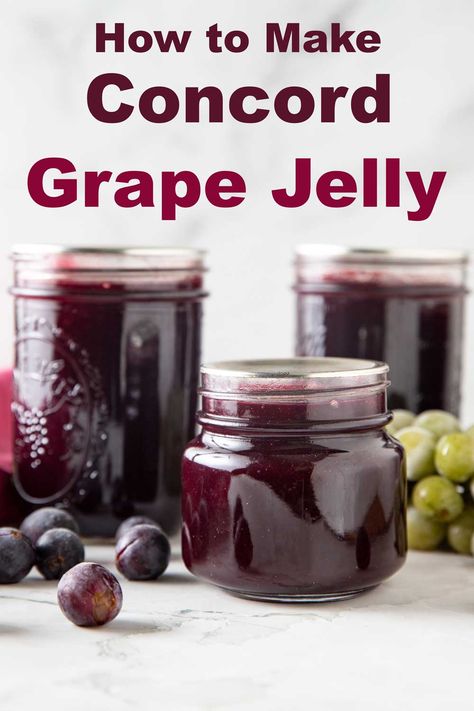 Concord Grape Jelly - Binky's Culinary Carnival Low Sugar Grape Jelly Recipe, Freezer Jelly, Grape Jelly Recipe, Homemade Grape Jelly, Concord Grape Jelly, Sugared Grapes, Homestead Kitchen, Grape Jam, Frozen Grapes