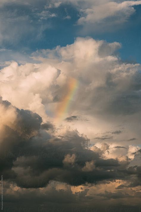 Sky Pictures Clouds, Clouds And Rainbows, Rainbow And Clouds, Nurse Shark, Clouds In The Sky, Rainbow Clouds, Beautiful Clouds, Rain Clouds, Rainbow Cloud