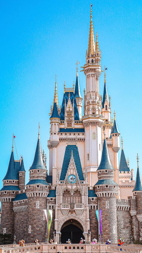 Disney World Castle Wallpaper, Disneyland Background, Disney Castle Wallpaper, Walt Disney Castle, Disneyland Orlando, Disney World Castle, Wallpapers Disney, Disney Universe, Disney Castles