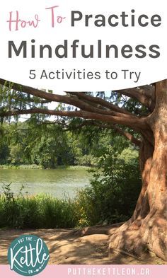 Mindfulness Exercises For Groups, Mindfulness Activities For Adults, Adult Activities, Mindful Activities, Mindfulness Journal Prompts, Increase Happiness, Holistic Fitness, Mindfulness Books, Wellness Ideas