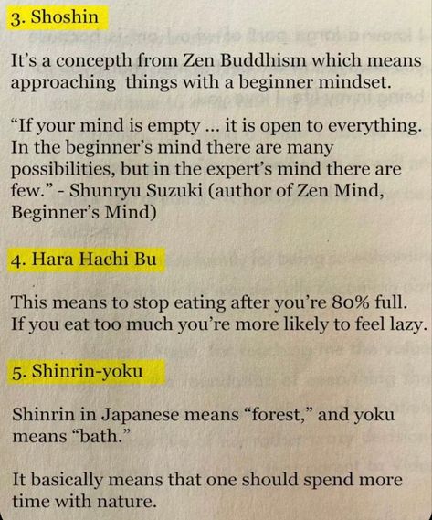 Buddhism For Beginners, Zen Mind, Shinrin Yoku, Buddhist Wisdom, Feeling Lazy, Buddhism Quote, Be Here Now, Buddha Teachings, Zen Buddhism