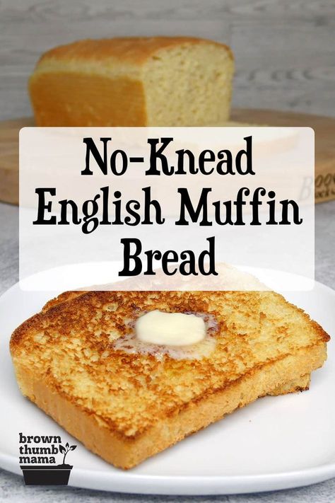 Want homemade English muffins without all the work? This easy recipe for English muffin bread is perfect for you. No kneading--just mix, rise, and bake! #recipe #baking #selfsufficient Bread Recipe Without Yeast, Muffin Bread Recipe, Muffin Loaf, English Muffin Bread Recipe, English Muffin Bread, English Muffin Recipes, Homemade English Muffins, Cooking Tricks, Homestead Kitchen