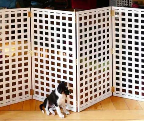 32 Inexpensive Dog Fence Ideas and Designs for 2023 | Decor Home Ideas