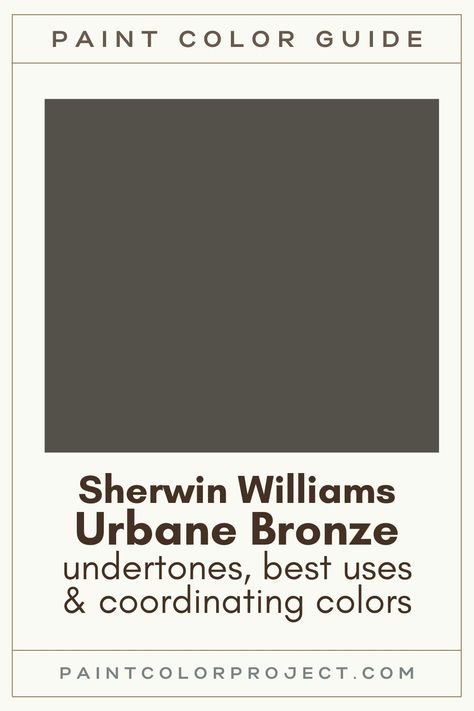 Pewter Green Paint Color, Gray Brown Paint Color Sherwin Williams, Best Dark Brown Paint Colors Sherwin Williams, Sherwin Williams Urban Bronze Color Palette, Dark Door Paint Color, Urbane Bronze Home Office, Sherwin Williams Bronze Green, Sherwin Williams Urbane Bronze Bathroom, Colors That Go With Urbane Bronze Accent Wall