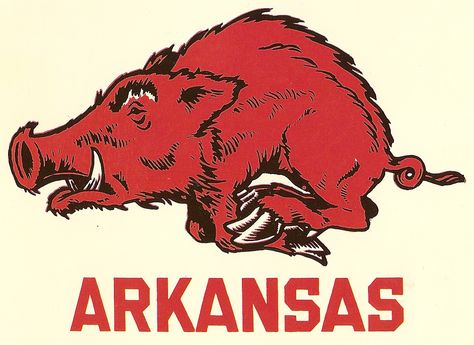 arkansas razorbacks football | cause we re from arkansas 1960s arkansas razorback football cheer Arkansas Football, Arkansas Razorbacks Football, Woo Pig Sooie, Arkansas Razorback, Football Cheer, Pumpkin Stencil, Horse Logo, Postcard Art, University Of Arkansas