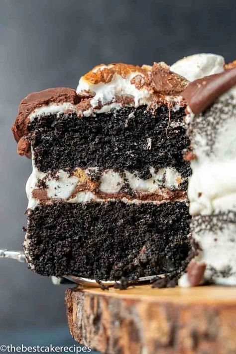 Smores Cake Recipe, The Best Cake Recipes, Easy Smores, Chocolate Smores, Marshmallow Cake, Cola Cake, Smores Cake, Dog Haircuts, Best Cake