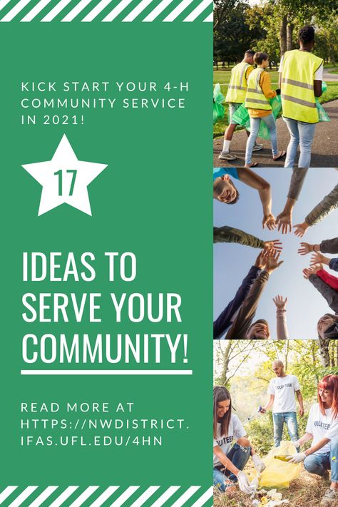 4h Community Service Ideas, Service Learning Projects, Community Service Ideas, Community Service Projects, Emergency Response Team, Service Ideas, Health Fair, Citizen Science, Program Management