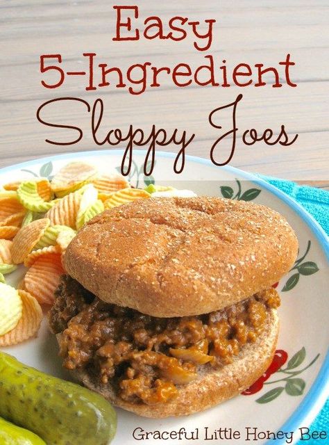 Sloppy Janes, Homemade Sloppy Joe Sauce, Sloppy Joe Recipe Easy, Homemade Sloppy Joe Recipe, Sloppy Joes Easy, Sloppy Joe Recipe, Homemade Sloppy Joes, Joe Recipe, 2024 Recipes