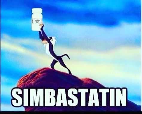 Simbastatin #simba #lionking #disney #pharmacy #pharmacyjokes #pharmacymeme #drugs #statins #cholesterol #tablets Pharmacy Meme, Pharmacy Funny, Pharmacy Technician Humor, Medical Memes, Nursing Quotes, Pharmacy Humor, Nursing Humor, Funny Nursing, Nursing Life