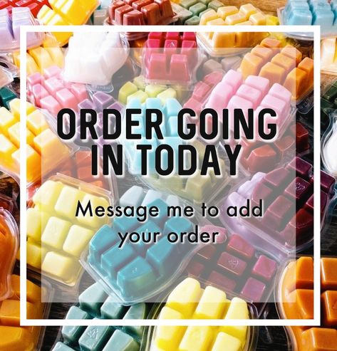 Group Order Going In Scentsy, Bulk Order Going In Scentsy, Local Scentsy Order Going In, Scentsy Order Going In Tonight, Scentsy Order Going In Soon, Scentsy Bulk Order Going In, Order Going In, Scentsy Order Going In, Scentsy Bulk Order