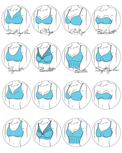 Illustration of the design and variety of women's bras in a circle. Hand-drawn lingerie models. Brasseries are classified into various styles based on criteria. Bra Drawing Reference, Vector Animation, Body Drawing, Drawing Clothes, Womens Bras, A Circle, Drawing Tips, Drawing Reference, Drawing Tutorial