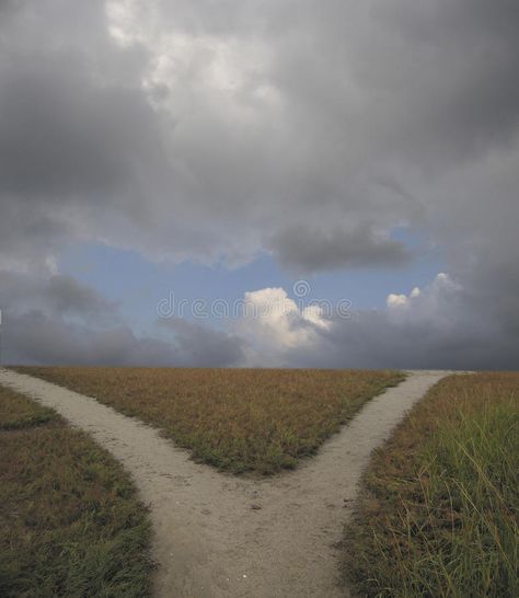 Stock Photo of Forked Path. This is a photo of a dirt path branching out in a fo , #affiliate, #Path, #photo, #dirt, #Stock, #Photo #ad Path Way, Two Paths Drawing, Two Paths, Road Drawing, Road Pictures, Unity In Diversity, Photography Series, Heaven And Hell, Cellphone Wallpaper Backgrounds