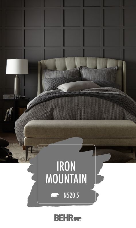 Guest Room Paint, Interior Paint Colors Schemes, Shade Of Gray, Behr Paint Colors, Iron Mountain, Behr Paint, Dark And Moody, Room Paint Colors, Bedroom Paint Colors