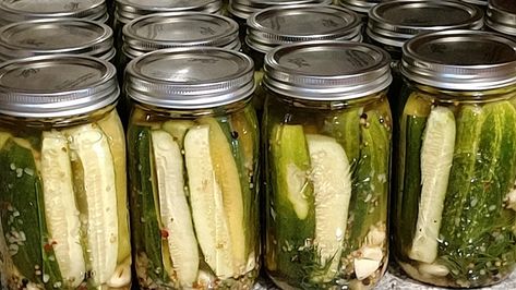 Pickles Claussen, Claussen Pickle Recipe, Garden Pickles, Pickles Homemade Easy, Claussen Pickles, Canning Garden, Pickled Recipes, Refrigerator Pickle Recipes, Garlic Dill Pickles