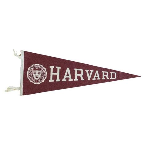 Harvard Library, Felt Flag, College Vision Board, Harvard College, Detox Kur, Harvard Law, Dream College, Dream School, Harvard University