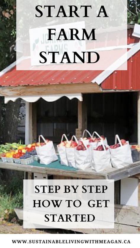 How To Start A Farm Business, Starting A Small Farm, Starting A Farm Stand, Small Farm Store Ideas, How To Build A Roadside Stand, Pay What You Can Farm Stand, Farm Produce Stand, Easy Diy Farm Stand, Homestead Farm Stand