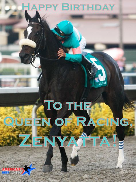 Zenyatta Horse, Ky Derby, Mike Smith, Thoroughbred Horse Racing, Thoroughbred Horse, Horse Crazy, Equine Art, Black Horse, Pretty Horses