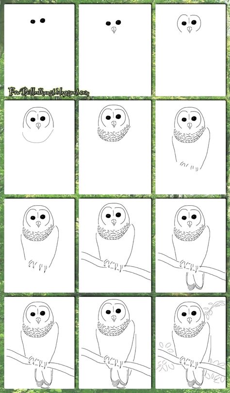 Hvordan lærer man at tegne? (Del 5) – Ugler – FruBilledkunst How To Draw An Owl In A Tree, 2nd Grade Art, 6th Grade Art, Art Worksheets, Owls Drawing, Homeschool Art, Owl Art, Racoon, Bird Drawings