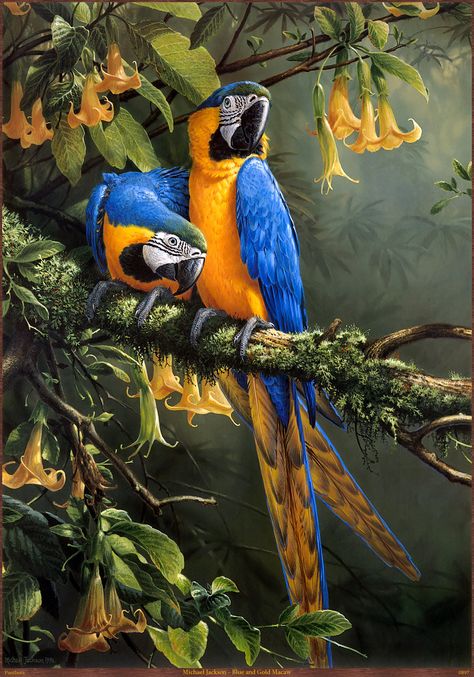 Blue And Gold Macaw Drawing, Parrot Ideas, Bird Nests Art, Macaw Art, Wallpaper Dog Aesthetic, Blue And Gold Macaw, Animals And Pet Supplies, Dog Tattoo Ideas, Jungle Birds