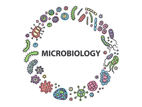 Microbiology logo by Vasilinka Pharmacy Art, Biology Diagrams, Microbiology Lab, Scanning Electron Micrograph, Cells And Tissues, Lab Logo, Biology Art, Technology Life, Teaching Biology