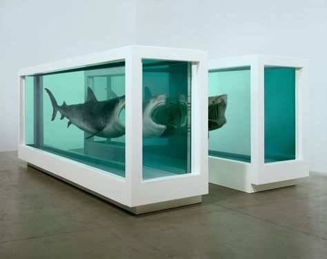 The Inspiration of the Day: Damien Hirst - Christina Gurunian Hirst Arts, Postmodern Art, Turner Prize, Damien Hirst, English Artists, Gcse Art, Anime Artwork Wallpaper, Animal Projects, Modern Artists