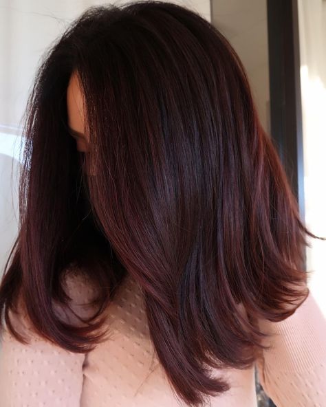 Color Hair Styles, Red Hair Ideas, Subtle Hair Color, Pelo Color Vino, Pink Brunette, Red Balayage Hair, Brown Hair Looks, Wine Hair, Hair Tint