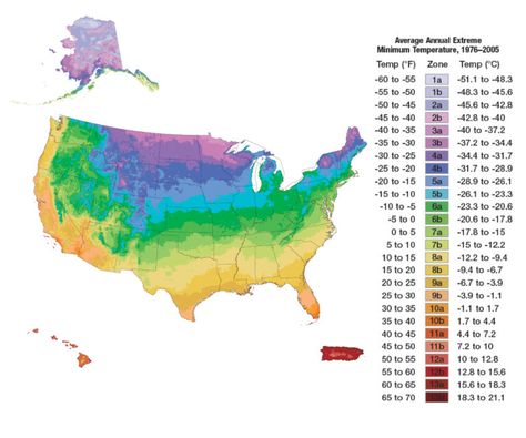 Garden Zones, Diamond Frost, Plant Hardiness Zone Map, Gardening Zones, Missouri Botanical Garden, Plant Tags, Plant Information, Fine Gardening, Seed Starting