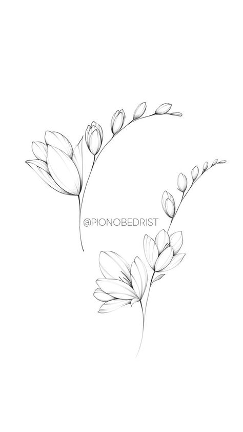 small tattoos by Tattoo Art & Designs Fresia Drawings, Fresia Flower Drawing, Small Flowers Tattoo Design, Delicate Flowers Drawing, Flower Frame Tattoo Design, Freesias Flower Tattoo, Fresia Tattoo Small, Freesia Flower Tattoo Design, Freesia Tattoo Design