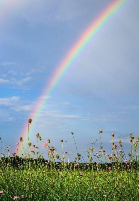 Rainbow Photography Nature, Indie Girl Aesthetic, Gods Promise, Real Rainbow, Rainbow Lake, Rainbow Pictures, Summer Wallpapers, Chasing Rainbows, Rainbow Photography