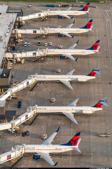 Boeing 737-732 - Delta Air Lines | Aviation Photo #7054375 | Airliners.net Delta Airlines Wallpaper, Delta Airlines Flight Attendant, Delta Airplane, Delta Flight Attendant, Eco Project, Vision Board Project, Airplane Photos, Spelman College, Delta Flight