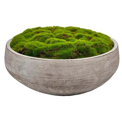 PRICES MAY VARY. Compact yet robust, this bowl boasts an impressive 8-inch diameter, 4.5-inch height, and a weight of just over 4 lbs. Replicates the lifelike texture and verdant tone of moss. Perfectly suited for coffee tables, dining tables, or an office desk. Placed in a hand-painted cement pot, adding a touch of luxury to the overall aesthetic. Presents a wonderful gift option for friends, neighbors, and coworkers. Demands no watering, guaranteeing simple and convenient upkeep. Elevate your Cement Bowl, Moss Bowl, Artificial Hand, Moss Planter, Moss Centerpieces, Extra Large Planters, Moss Plant, Maximalist Design, Concrete Bowl