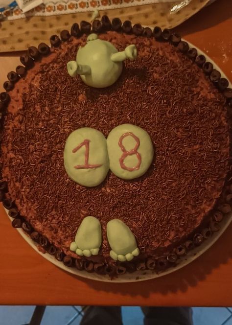 Funny Cake Designs Hilarious, Shrek Cake, Ugly Cakes, 17 Birthday Cake, Hedgehog Cake, Cake Fails, 18th Cake, Snack Shack, Funny Birthday Cakes