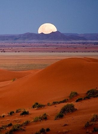 Shoot The Moon, The Full Moon, Beautiful Moon, Desert Landscaping, Sand Dunes, The Desert, Amazing Nature, Belle Photo, Full Moon