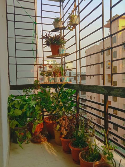 Indian Balcony Grill Design, Indian Balcony Design, Balcony Grills, Diy Balcony Ideas, Front Veranda, Balcony Ideas Apartment Privacy, Modern Window Grill, Balcony Glass Design, Luxury Balcony