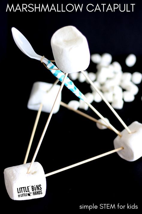 Marshmallow catapult activity for easy kids STEM Marshmallow Catapult, Popsicle Stick Catapult, Marshmallow Challenge, Kids Stem Activities, Stem Projects For Kids, Math Activities For Kids, Easy Science Experiments, Fine Motor Skills Activities, Science Activities For Kids