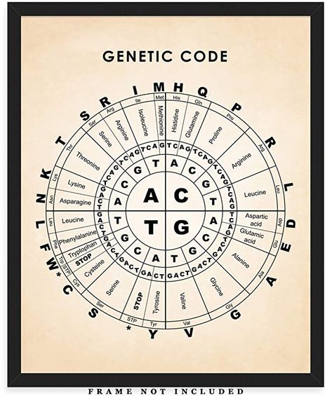 AmazonSmile: Vintage Genetic Code Wall Art Print - (8x10) Photo Unframed Make Great Room Wall Decor Gift Idea Under $15: Handmade Great Room Wall Decor, Code Illustration, Genetics Art, Free Gift Idea, Genetic Code, Art Patterns, Illustration Wall Art, Unframed Art Prints, Walls Room