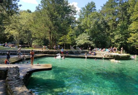 Ponce de Leon Springs State Park | Florida State Parks Florida Springs Map, Florida Caverns State Park, Rainbow Springs State Park, Blue Springs State Park, The Fountain Of Youth, Florida State Parks, Florida Springs, Refreshing Water, Jacksonville Beach